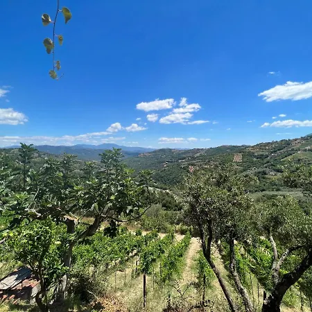 Baccanale Фермерский дом Prignano Cilento